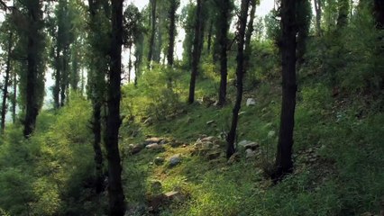 电波凌云 第三集: 无线无限 2 Eternal Wave Episode 3: Infinite Wireless part 2