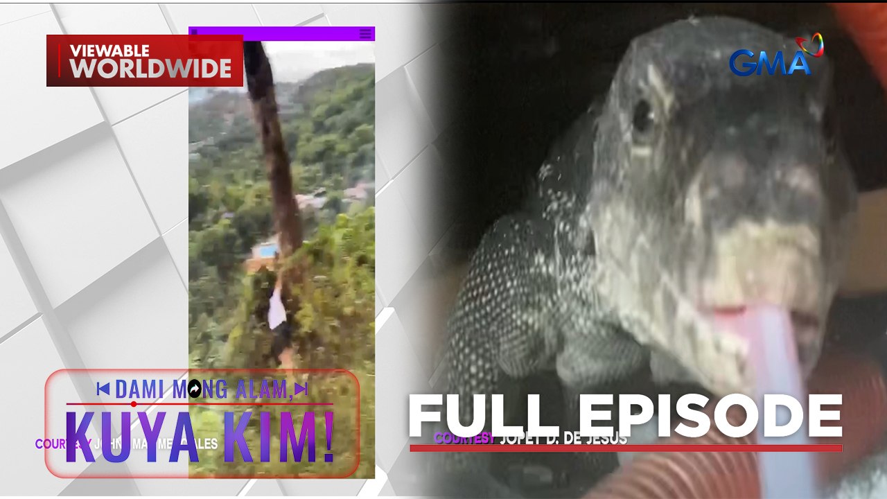 Babaeng nagse-selfie, nahulog sa bangin!; Kisame, may bayawak?! | Dami Mong Alam, Kuya Kim!