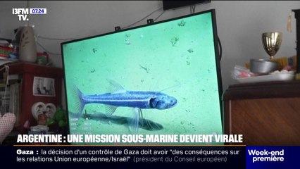 Argentine: une mission sous-marine diffusée en direct passionne le pays