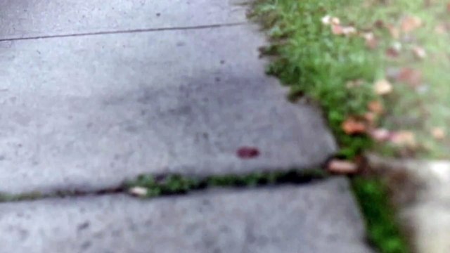 Bruce Springsteen: In His Own Words | movie | 2017 | Official Trailer