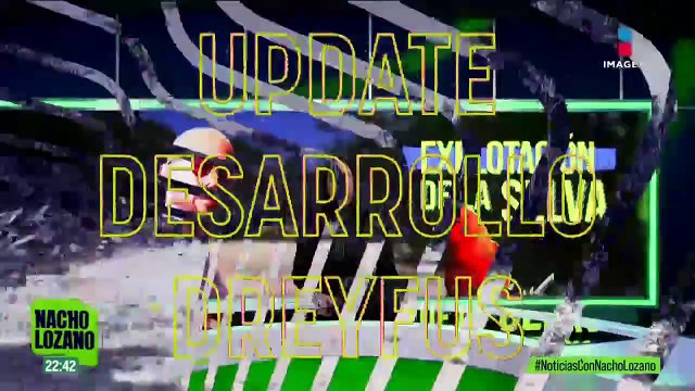 Proyecto de Diego Dreyfus en Quintana Roo afecta directamente al medioambiente, señalan ambientalistas