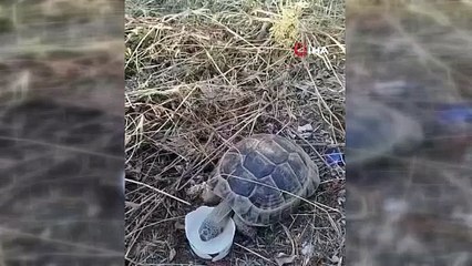 Başkentte yürek ısıtan görüntü