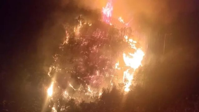 Nazilli’de orman yangını büyümeden kontrol altına alındı