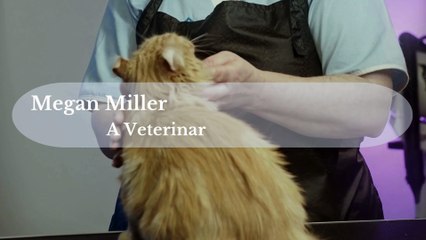 Megan Miller University of Missouri - A Veterinary Technician