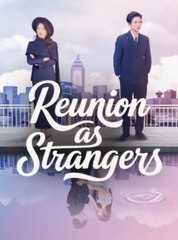 Reunion as Strangers chinese drama