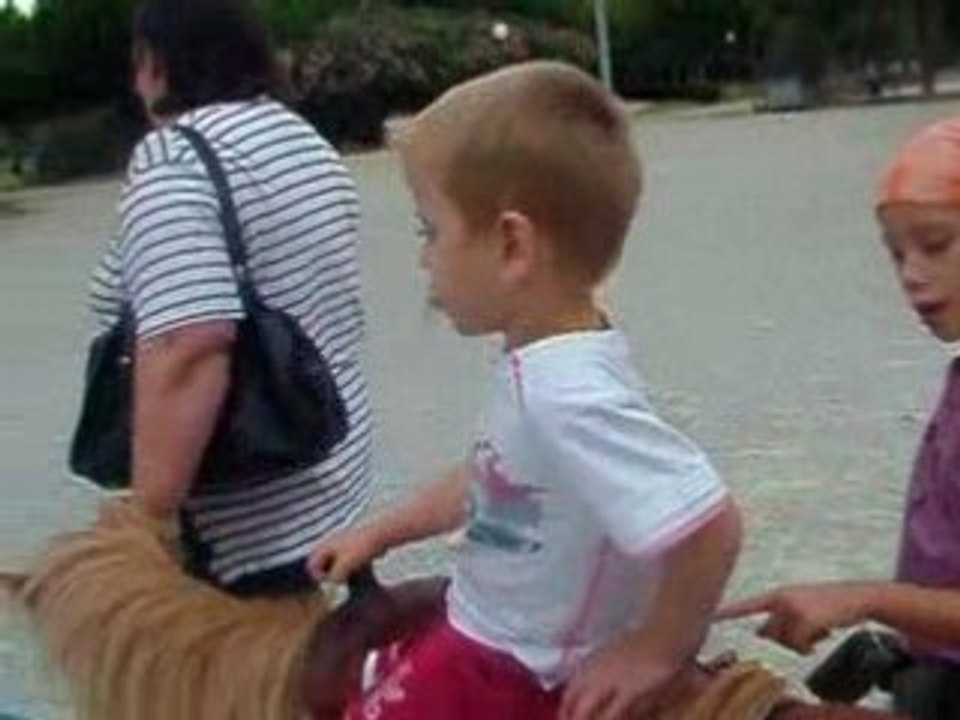 Promenade en poney