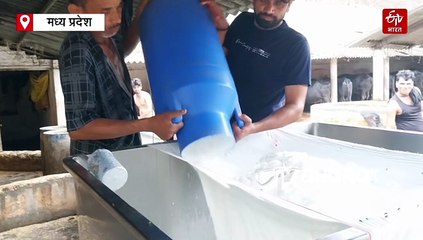 महंगाई की मार, जबलपुर में दूध की कीमत में भारी उछाल, सड़कों पर उतरे लोग