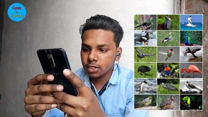 ऐसे फैट्स जो दिमाग हिला देगा। || Top 50 Facts In Hindi #factsinhindi