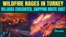 APOCALYPTIC SCENES in Turkey | Devastating Wildfire RAGES in Canakkale | Dardanelles Strait shut