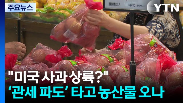 미국 사과 상륙? ...'관세 파도' 타고 농산물 들어오나 / YTN