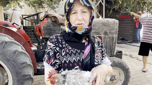 Orman yangınında evinin bir bölümü yandı, geriye 3 tavuğu kaldı