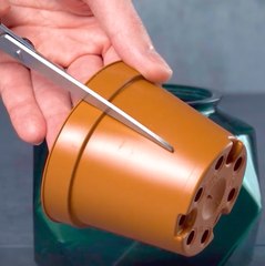 Vos amis VERT méritent ces conseils pour stimuler leur croissance.