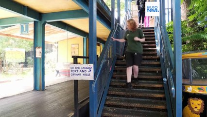 لندن تحيي اليوم العالمي للأسود الآسيوية: دعوة عالمية لتعزيز حمايتها من الانقراض