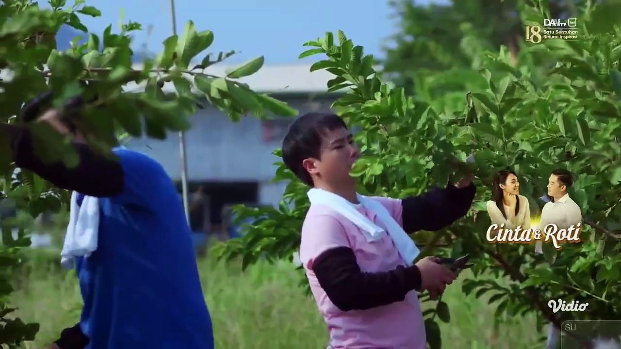 Cinta & Roti - Episode 4 (DAAI TV) 8/8/2025