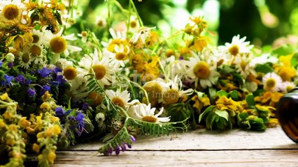 Discover the Power of Natural Wellness | Holistic Health & Healing Tips