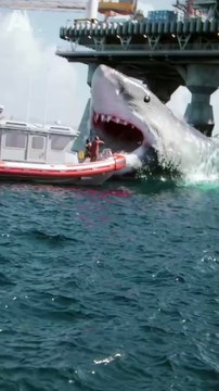 Before VS After Animal Transformation🤯_ Amazing Animals Transformation#animaltransformation #beforevsafter #amazinganimals #cutepets #wildlife #beforeandafter #animalshorts #animalvideos #transformation