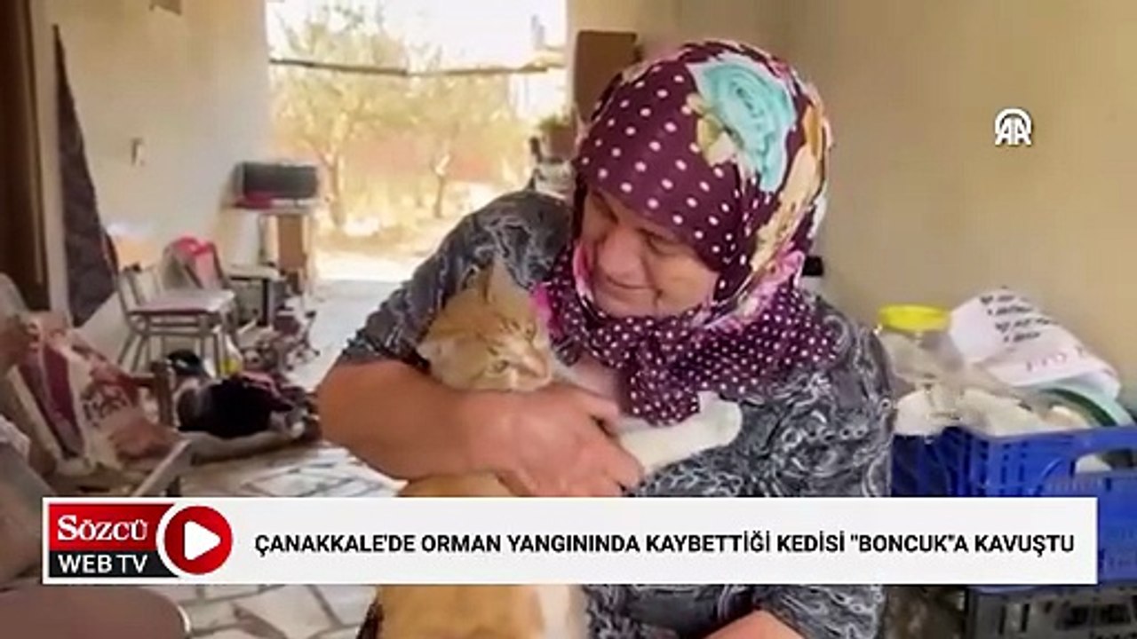 Çanakkale'de orman yangınında kaybettiği kedisi "Boncuk"a kavuşan Kevser teyze mutlu oldu