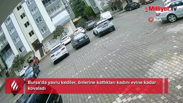 Nereye kaçacağını şaşırdı! Peşini bir an bile bırakmadılar...