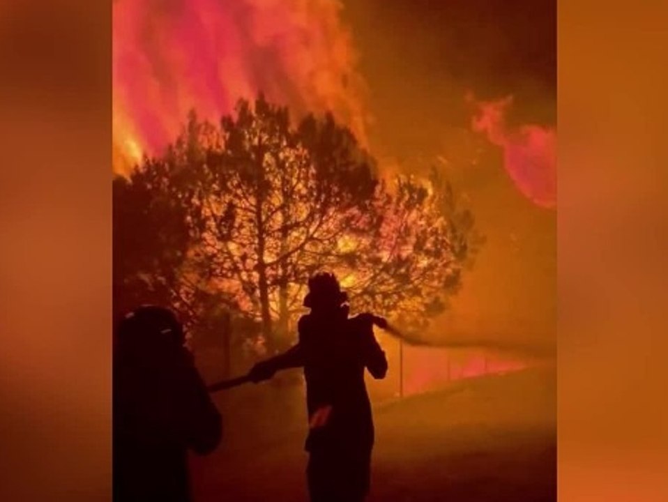 Waldbrand in Griechenland ausgebrochen: Internationale Hilfe benötigt