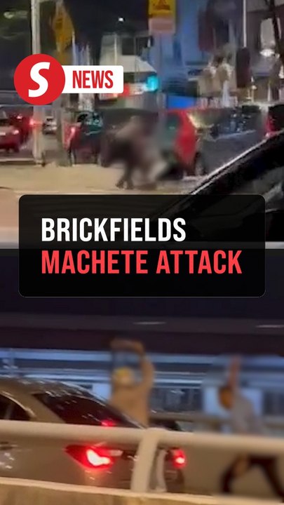 Manhunt for machete-wielding men after fight in Brickfield leaves two hospitalised
