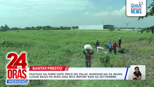 Pagtaas ng farm gate price ng palay, ramdam na sa ibang lugar bago pa ang rice import ban sa Setyembre | 24 Oras Weekend