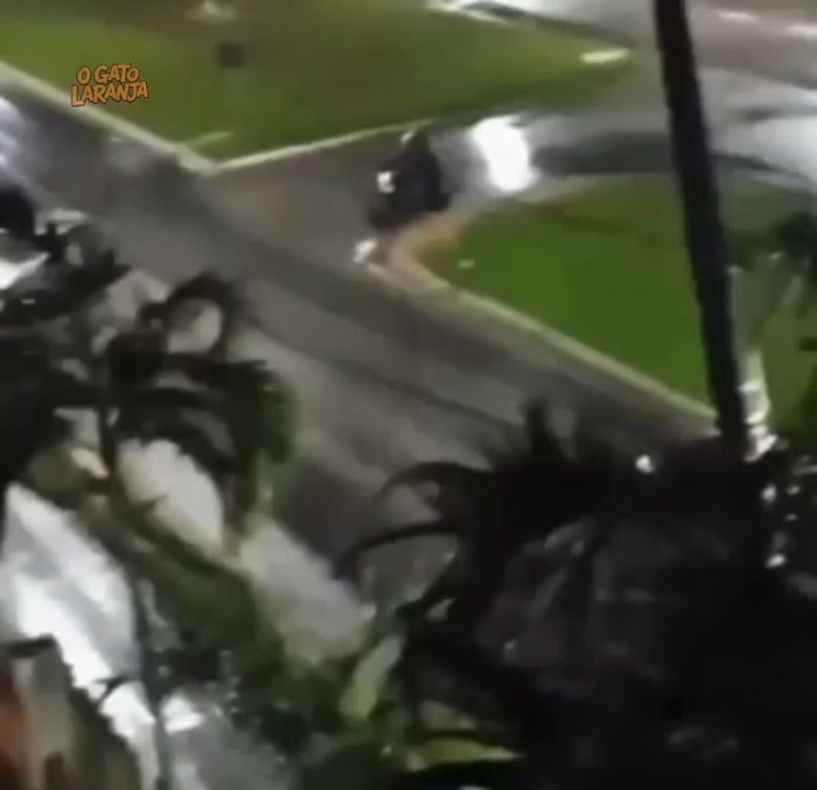 Motoboy salva vida de motorista com carro em chamas na Grande Florianópolis