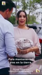 Modo Millonaria S Shorttv