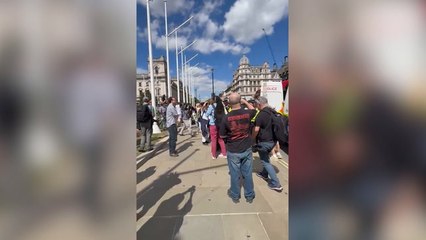 Hundreds arrested during Palestine Action protest in London