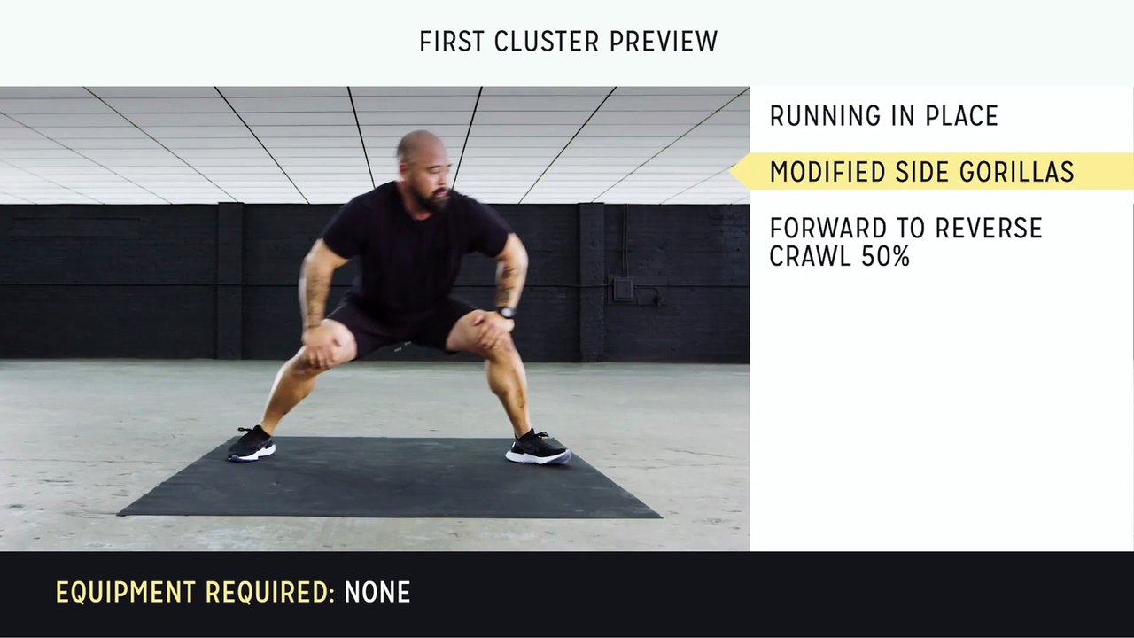 Total Body Shred – Beginner Functional Training for Strength & Fat Loss