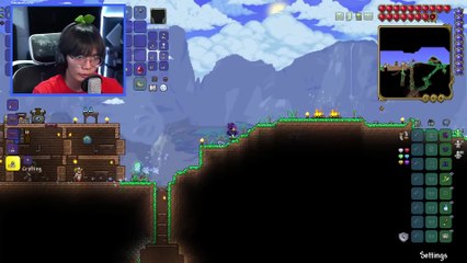 THE DUNGEON GUARDIAN IN TERRARIA IS SCARY