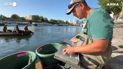 Parigi vede il ritorno dei suoi pesci storici nella Senna