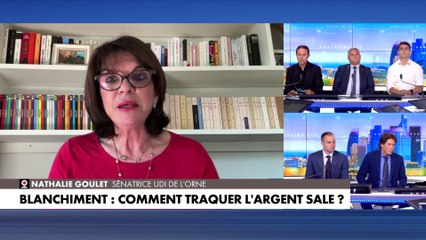 Nathalie Goulet : «Il faut sanctionner la contrefaçon un crime démocratique et économique à bas bruit»