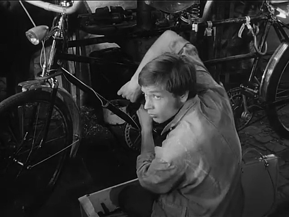 Der Staatsanwalt hat das Wort-Erzwungene Liebe