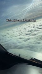 What a Pilot sees during the landing of an Airplane
