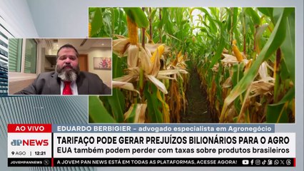 Como tarifaço de 50% de Trump afetará o agronegócio do Brasil? Especialista avalia