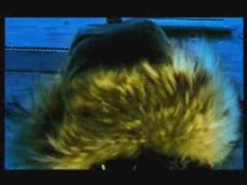 Chub-E-Dis moi que j'mens