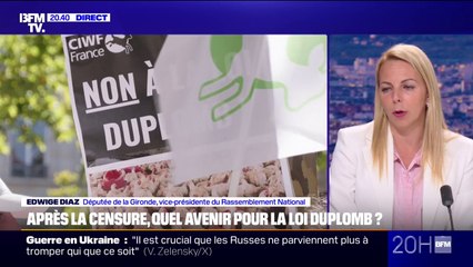Loi Duplomb: pour Edwige Diaz, vice-présidente du Rassemblement national, “le gouvernement a été en dessous de tout et craint le pire pour nos agriculteurs”
