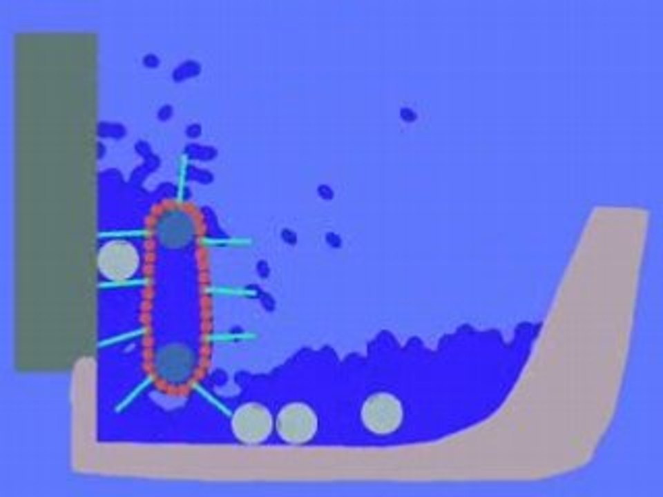 Phun Splasher