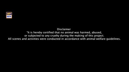 Main Manto Nahi Hoon Episode 8