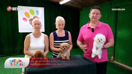 Patinin Hikayesi 9 Ağustos 2025