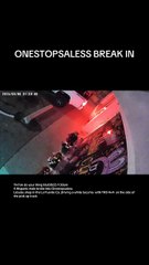 Los Angeles Labubu: Discover the Unique Vibe