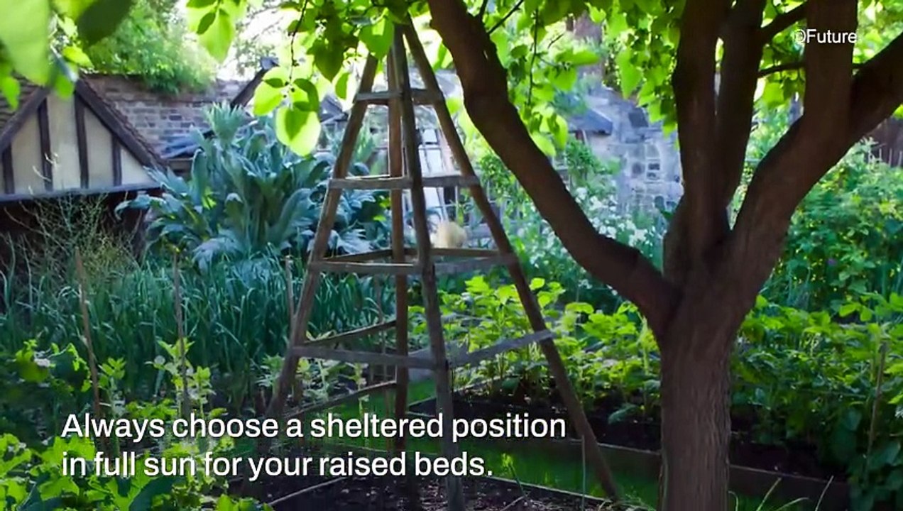 Raised Garden Bed Mistakes To Avoid