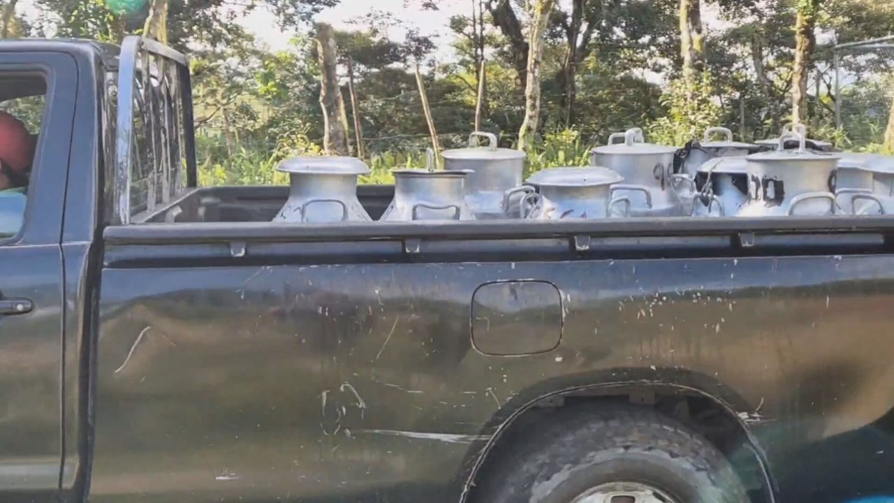 Productores de leche en Chiriquí piden al Gobierno 'alternativas' para evitar 'crisis' en este sector