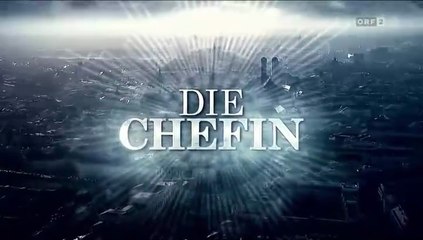 Die Chefin -42- Der Neue