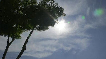 [날씨] 휴일 '2차 장마' 주춤, 다시 무더위...서울 33℃ / YTN