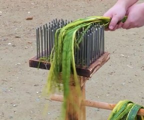 Nature on Your Feet – Making Eco Shoes with Plants