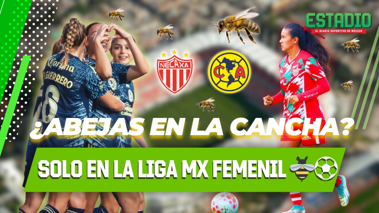 ¡Se metieron a la cancha! 🐝 El partido se detuvo por esta locura…