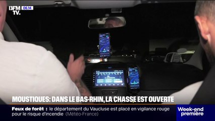 Moustiques: dans le Bas-Rhin, les autorités ont de plus en plus recours à des opérations de démoustication