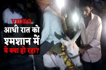आधी रात को गधे पर उल्टा बैठकर श्मशान के चक्कर काट रहा था शख्स