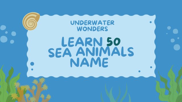 50 Amazing Sea Animals | Underwater Wonders | Sea Animals